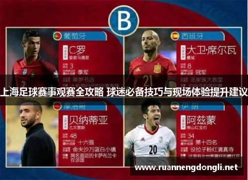 上海足球赛事观赛全攻略 球迷必备技巧与现场体验提升建议